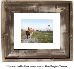 horse trail rides near me in Harlingen, Texas